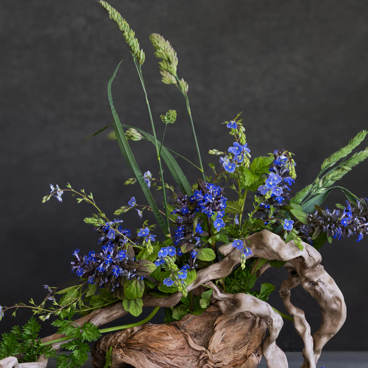 Ikebana Ohara
