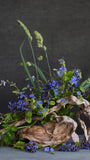 Ikebana Ohara